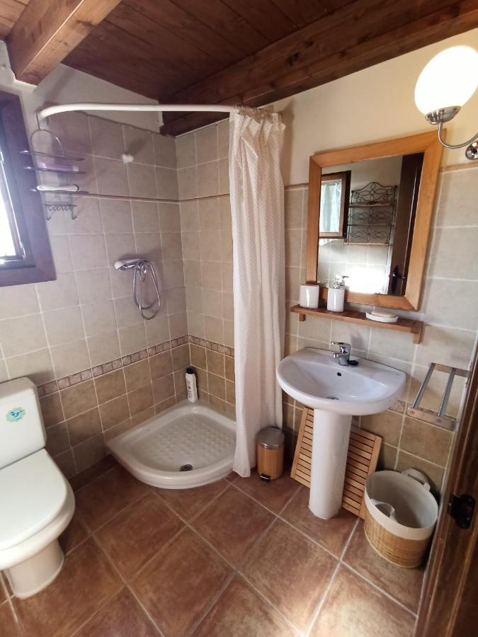 Chalet En El Pirineo De Aragon Neril Dış mekan fotoğraf